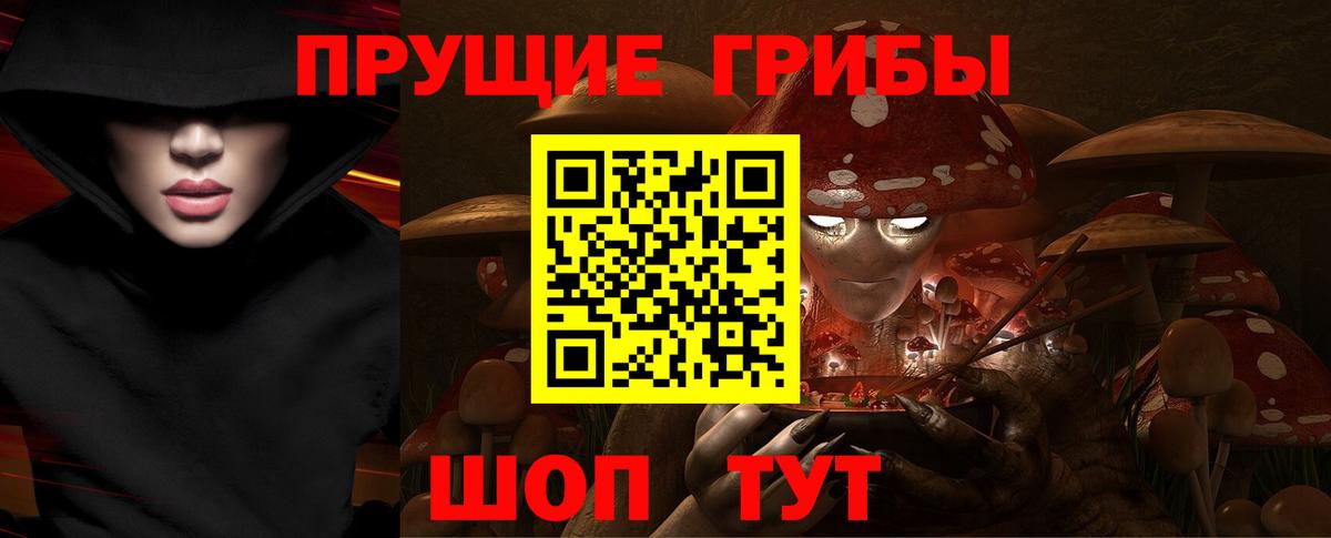 Псилоцибиновые грибы мицелий Россия